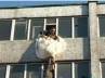 chemistry test, cheat, girl commits suicide after getting caught cheating, Girl commits suicide