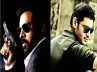 Superstar Mahesh, Vishnuvardhan, powerstar competing neck to neck with superstar mahesh, Panjaa