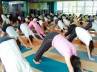 MCI, yoga, yoga sports for mbbs students, Mbbs student