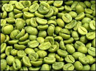 Lose weight with green coffee bean