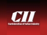 Confederation of Indian Industry, Confederation of Indian Industry, business confidence declined cii survey, Global economy