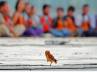 happy life, success in life, slideshow a journey through life, Happy in life