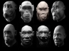 exhibition introduces the excavation, Forensic anthropologists, 7 million years evolution researchers use forensics to rebuild 27 faces of man s ancestors, Ancestors