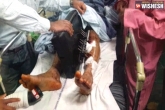 telangana news, telangana news, height surgery row doctors in dock, Dock