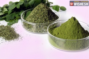Useful Herbs To Counter Cancer Pain