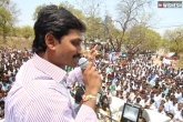 Jagan’s indefinite fast, special status Jagan fast, ap special status jagan s indefinite fast from today, Jagan fast