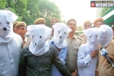 DCP (southeast) MS Randhawa, Kidney racket, five persons arrested in a kidney racket, Apollo