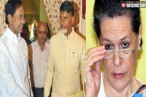 Sonia Gandhi, Sonia Gandhi, kcr and naidu plays joint strategy on sonia gandhi, Strategy