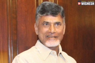 Naidu decides Rajya Sabha nominees from TDP