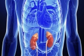 raman spectroscopy techniques, new techniques for diagnosing kidney disease, new method to detect kidney disease, Nose