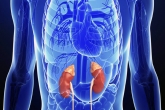raman spectroscopy techniques, Less invasive technique to spot kidney disease, new method to detect kidney disease, Nose