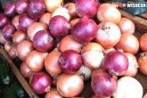 Onions, health tips, 5 benefits onions can really give, Onions