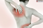 shoulder and back pain, shoulder and back pain reduction, tips to deal with your pain in shoulders and back, Back pain