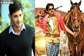 Pawan Kalyan, Mahesh Brahmothsavam, mahesh steps back for pawan kalyan, Brahmothsavam