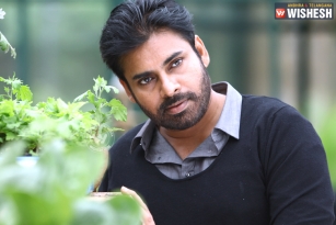 Plant for Pawan: Pawan fans new initiative