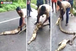 Man squeezes out goat from Python&rsquo;s stomach