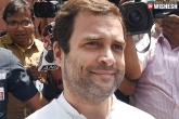 Rahul Gandhi UP CM candidate, Rahul Gandhi Congress, rahul gandhi to be congress chief this year, Rahul gandhi congress