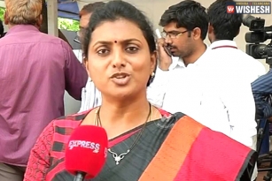Growth rate in AP? Good joke - Roja