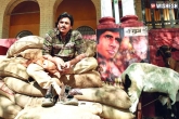 Tollywood news, Tollywood news, pawan kalyan tributes amithab bachchan, Amithab