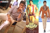 Tollywood gossips, Mahesh Babu Brahmotsavam release, mahesh babu threatened with sardaar sarrainodu results, Threatened