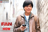 Bollywood gossips, Fan review, fan a complete shah rukh khan s show, Bollywood gossips
