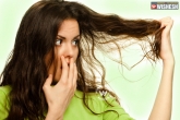 Things not to do to your hair, Simple things that ruin your hair, things you are doing to damage your hair, Your hair