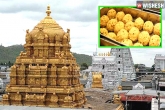 adulterated ghee used in tirupathi laddu, animal wastes in tirupathi laddu, tirupathi laddu prepared with animal wastes, Prepare