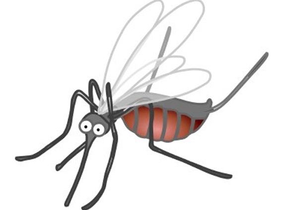 Life is beautiful, when mosquitoes are not around