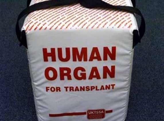  33 organ donations in the city this year