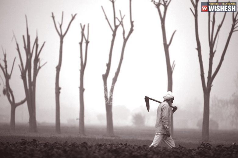 13 farmers died in a single day in Telangana