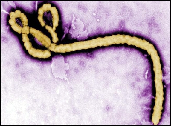 India's first Ebola case