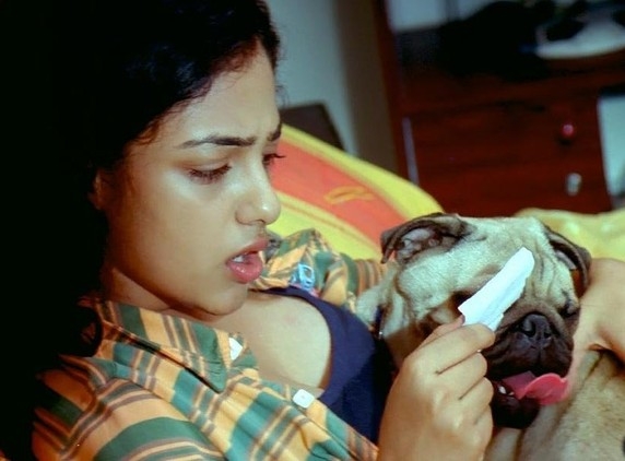 Nithya Menon in Charan's movie?