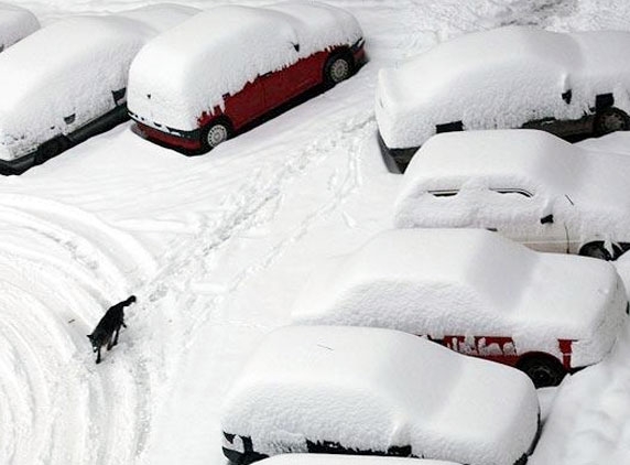 Cars ready to test Indian roads in 2013
