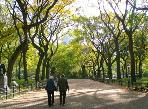 Walk in a park to increase memory skills