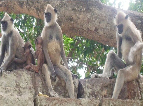 Baby girl or boy is a boon to parenthood, do not discriminate
