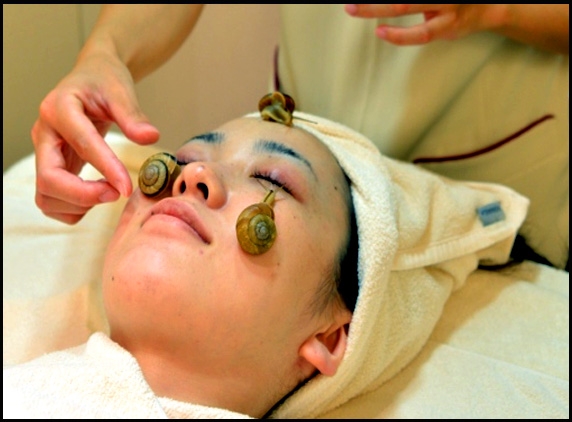 Snails slime in Japan beauty treatment