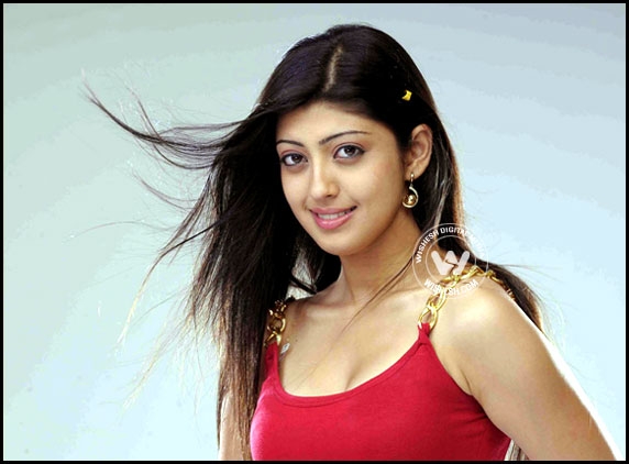 Praneetha To Shake Off Second Fiddle Image