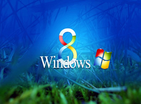 India loves Windows 8