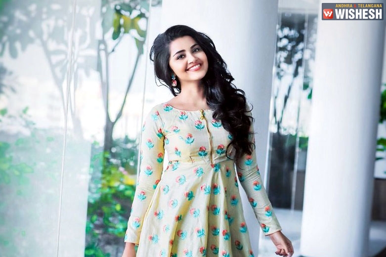 Anupama Parameswaran To Romance Mega Hero
