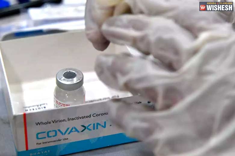 Bharat Biotech waiting for WHO's approval for Covaxin