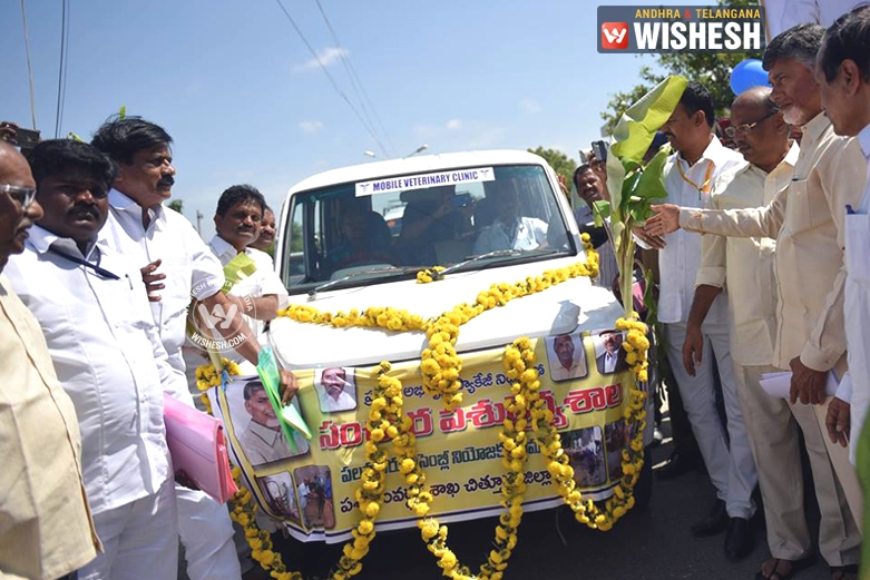AP CM flags Mobile Veterinary Clinics