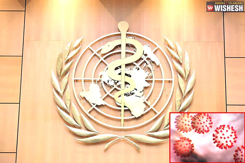 China Delayed Revealing Coronavirus Says WHO