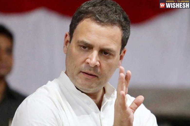 Congress Demands Probe After Rahul Gandhi's Plane Makes Emergency Landing