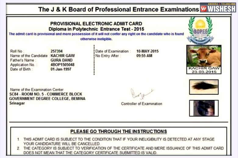Cow to write Jammu & Kashmir Board of Professional Entrance Examination