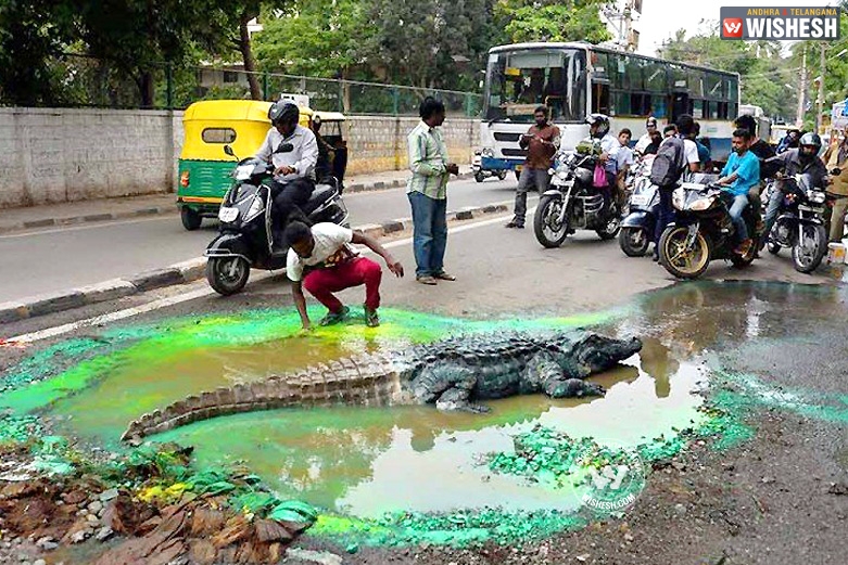 Crocodile on road, to slap the authorities