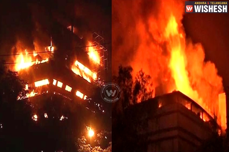 Delhi’s iconic National Museum of Natural History gutted by fire