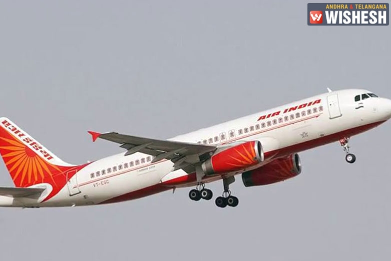 Drunk Man Pees On A Woman In New York - Delhi Flight