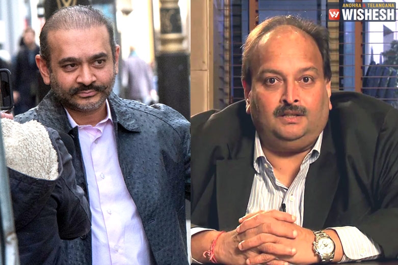ED Seizes Rs 1350 Cr Worth Diamonds Owned By Nirav Modi And Family