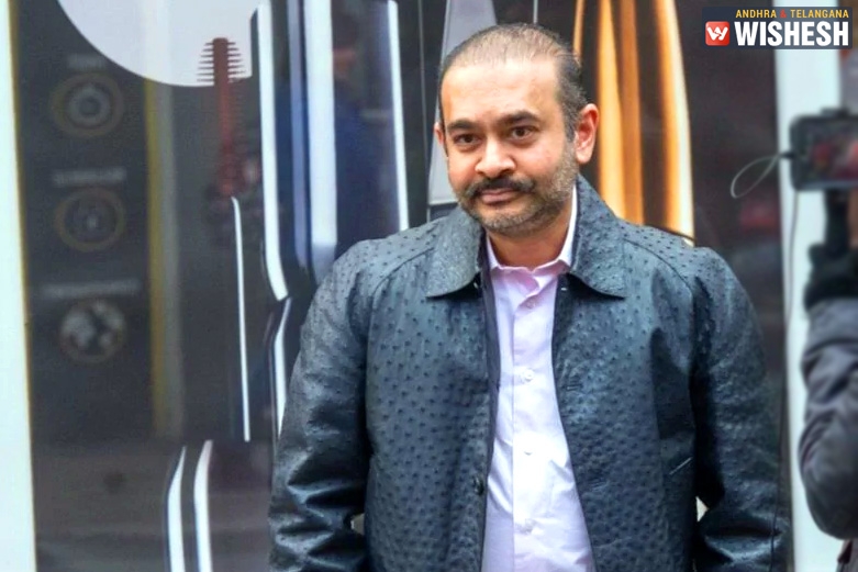 Fake Transactions and Imports of Nirav Modi Traced