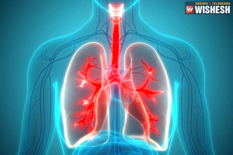Food To Keep Your Lungs Safe And Healthy